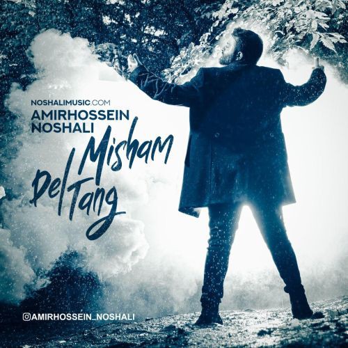 دانلود آهنگ دلتنگ میشم